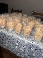 Potjes fruitvliegen, Dieren en Toebehoren, Overige soorten, 0 tot 2 jaar