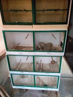 Kweek kooien, Ophalen