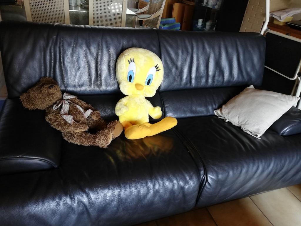 peluches Walt Disney, Enlèvement