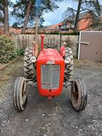 Ferguson goudbuik, Articles professionnels, Agriculture | Tracteurs, Enlèvement ou Envoi