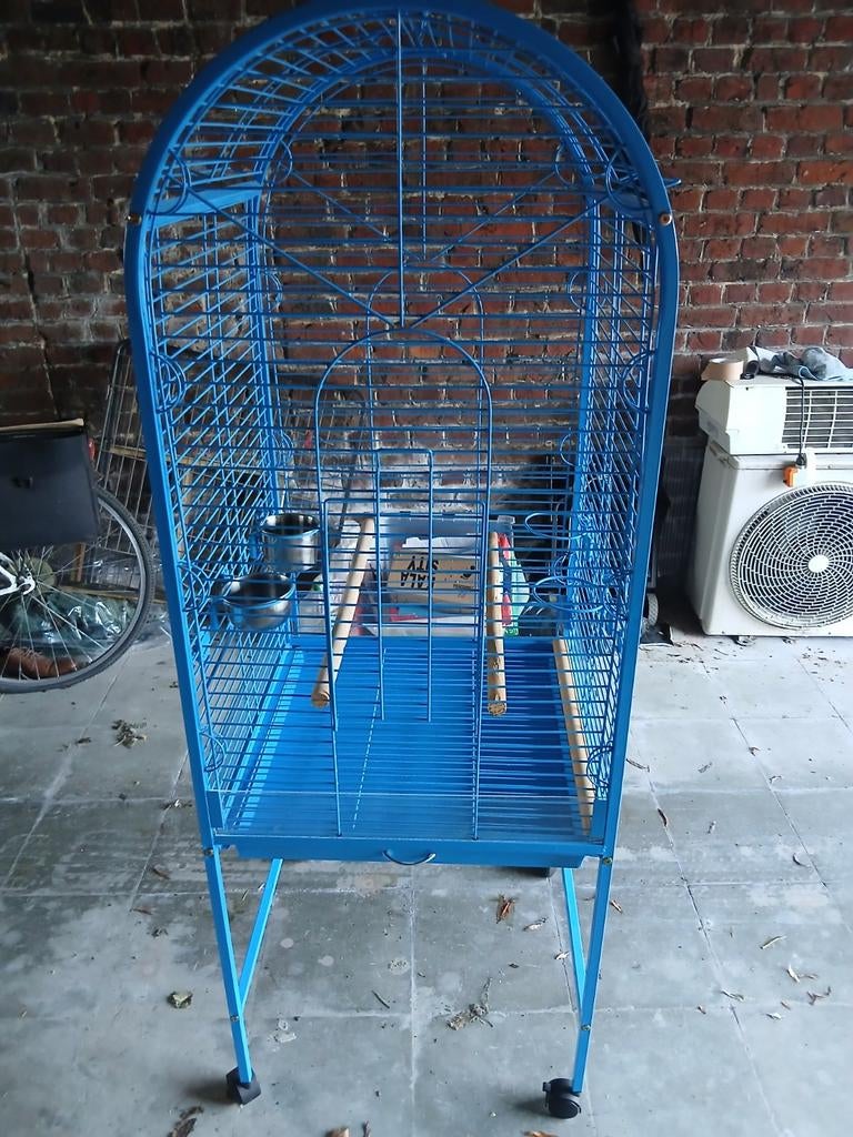 Kooi prijs 70euro  afhalen aalbeke, Dieren en Toebehoren, Vogels | Parkieten en Papegaaien