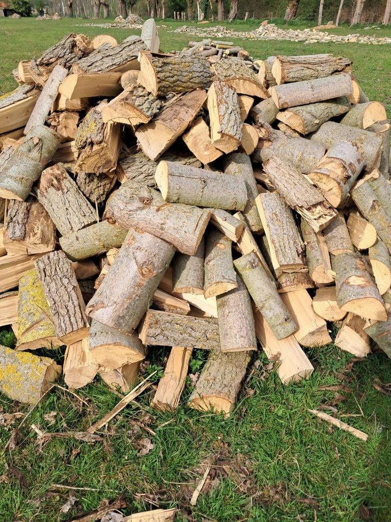 Brandhout wilg, Ophalen, Overige houtsoorten, Blokken