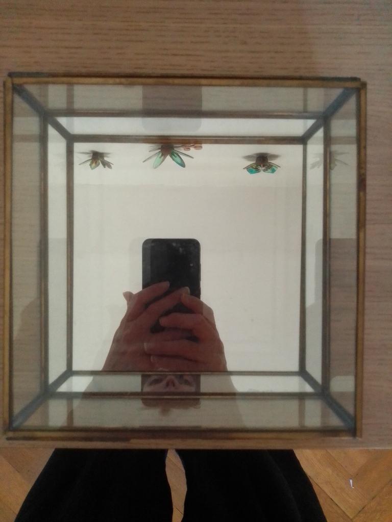 Boite vitrée, Enlèvement, Comme neuf, Verre