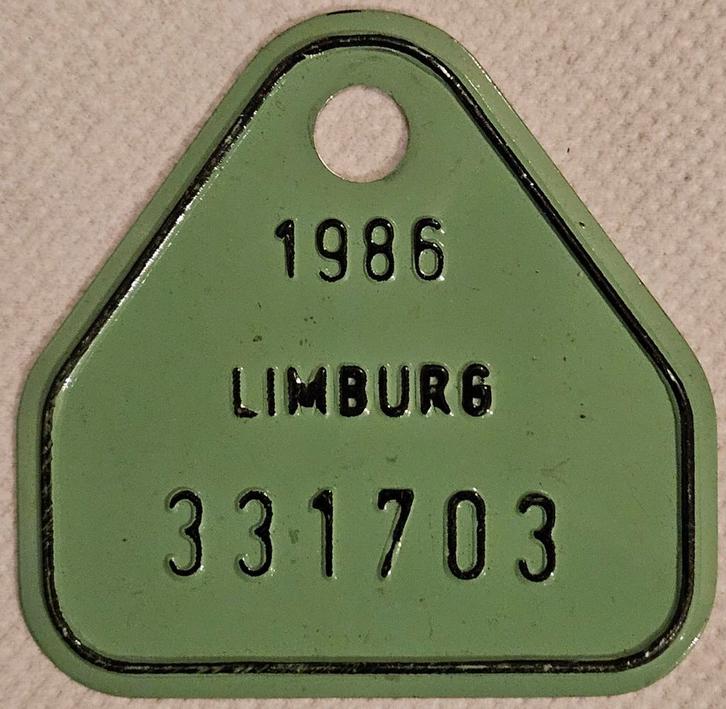 Plaque de branchement de vélo Limburg 1986 331703
Cet objet, Collections, Collections Autre, Enlèvement ou Envoi