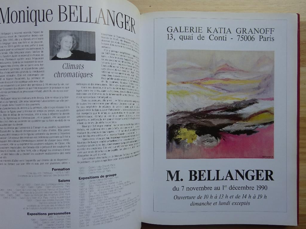 L'affiche d'art en France, par M. Chelbi, 1996,, Peinture et dessin, Enlèvement ou Envoi, Utilisé, Chelbi