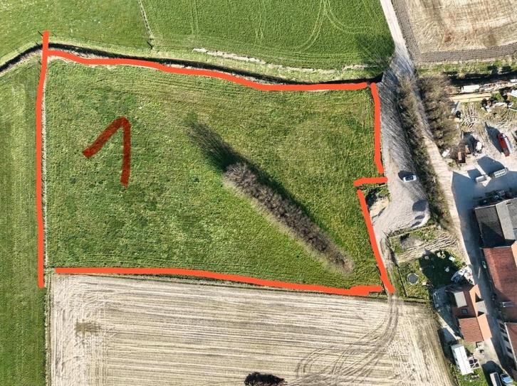 prairie pour chevaux à louer wervik, Animaux & Accessoires, Chevaux, Plusieurs animaux, Ne s'applique pas