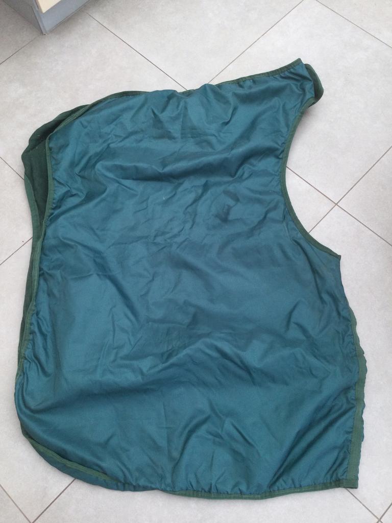 Nierbeschemer paard, Ophalen of Verzenden, Zo goed als nieuw