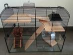 Cage pour hamster ou animal similaire, Moins de 60 cm, Cage, Utilisé, Rat