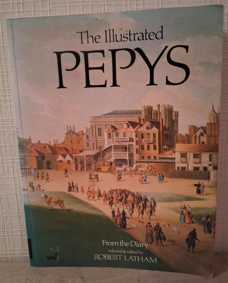 The illustrated Pepys: Extracts from the diary, Boeken, Geschiedenis | Wereld, Ophalen of Verzenden