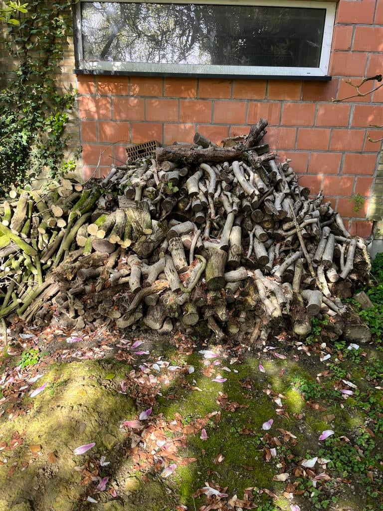 Brandhout van notelaar., Ophalen