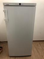 Diepvries Liebherr, Elektronische apparatuur, Vriezers en Diepvrieskisten, Gebruikt, 120 tot 140 cm, Minder dan 60 cm, Vrijstaand