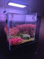 Aquarium ila 40x40x45 (full set), Dieren en Toebehoren, Ophalen