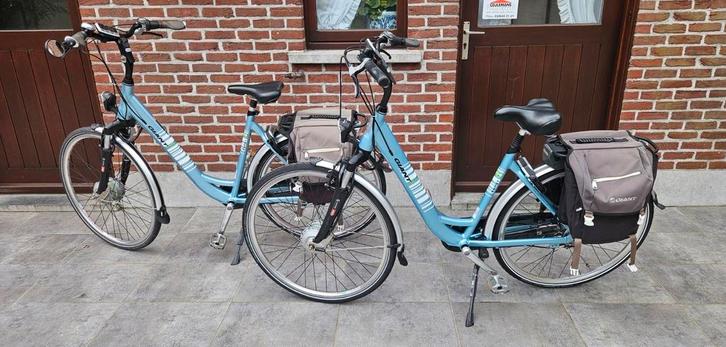 2 Prachtige Elektrische Giant Twist Go Double Fietsen, Fietsen en Brommers, Elektrische fietsen, Zo goed als nieuw, Giant, Ophalen