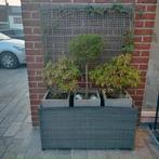 boîte à fleurs, Jardin & Terrasse, Comme neuf, Enlèvement, 60 à 100 cm, 60 cm ou plus