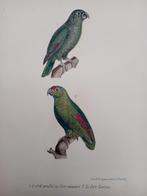 Gravure ancienne Le Grik Le Perr.Tavoua lot 153, Enlèvement ou Envoi