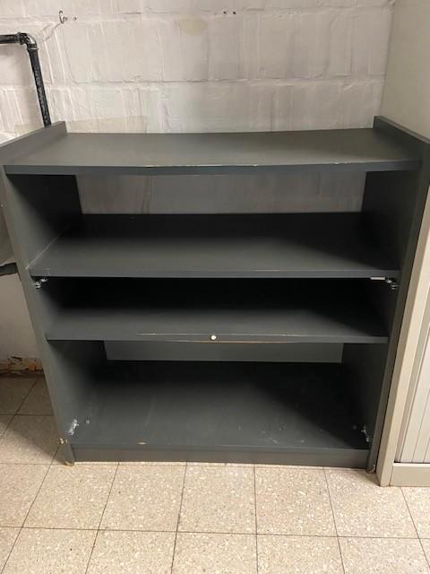 Stevige opbergkast met verlichting, Tuin en Terras, Bergingen en Tuinkasten, Gebruikt, Overige typen, Hout, Ophalen