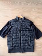 Tommy hilfiger jas, Ophalen, Zo goed als nieuw, Maat 52/54 (L), Blauw