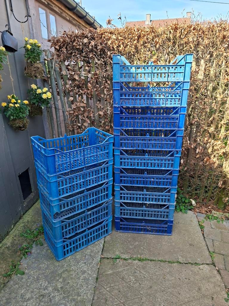 Plastic fruitbakjes, Tuin en Terras, Hand-tuingereedschap, Ophalen