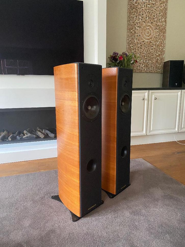 Sonus Faber Concerto Domus, Audio, Tv en Foto, Luidsprekerboxen, Zo goed als nieuw, Front, Rear of Stereo speakers, 120 watt of meer