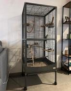 Vogelkooi, Enlèvement, Comme neuf, Cage à oiseaux