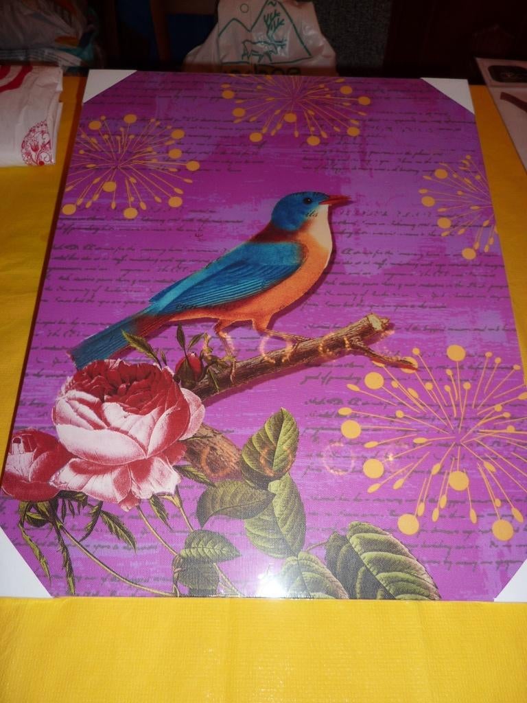 Cadre Oiseau 40cm x 50cm, Enlèvement, Neuf, Décoration murale