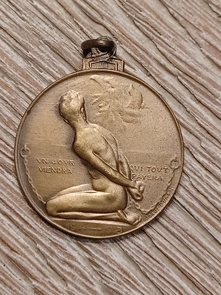 medaille wo1 antwerpen verdedigers hulde zeldzaam, Ophalen of Verzenden, Overige soorten, Lintje, Medaille of Wings