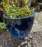 Magnifique pot de fleurs émaillé bleu marine, Rond, Pierre, Comme neuf, 30 à 60 cm