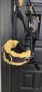 Kaptoom, Dieren en Toebehoren, Paarden en Pony's | Hoofdstellen en Tuigage, Ophalen