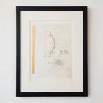 Panamarenko, Enlèvement ou Envoi