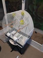 Vogelkooi., Ophalen, Zo goed als nieuw, Metaal, Vogelkooi