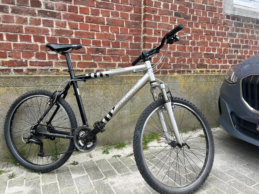 Giant Large Mountainbike MTB VTT studentenfiets bike, Ophalen, Zo goed als nieuw, Giant