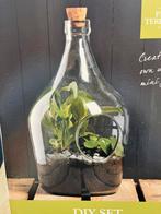 Terrarium pour plantes DIY, Maison & Meubles, Plantes d'intérieur, Enlèvement