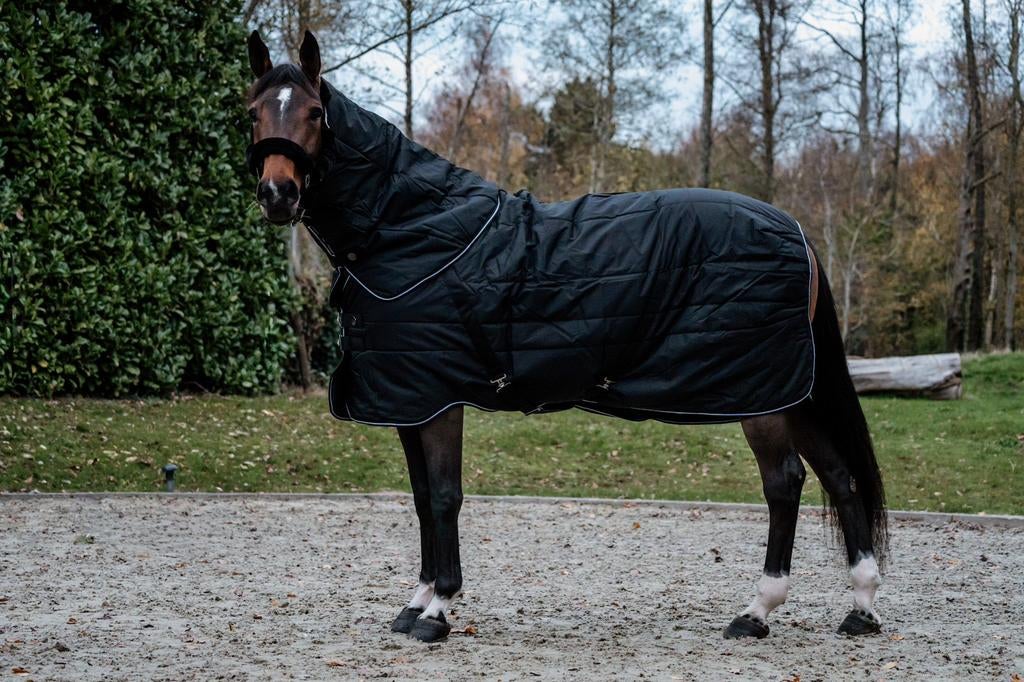 Staldeken met afneembare hals, Animaux & Accessoires, Chevaux & Poneys | Couvertures & Couvre-reins, Comme neuf, Couverture, Rambo