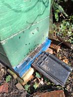 2 bijenvolken te koop Carnica Simplex