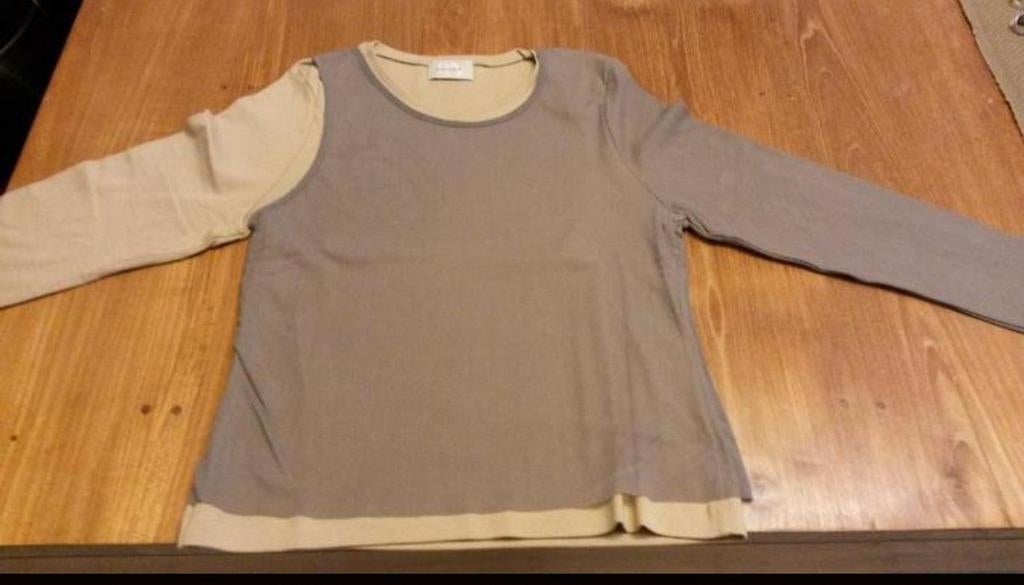 Volledig nieuwe t-shirt, Kleding | Dames, T-shirts, Ophalen, Bruin, Maat 42/44 (L), Bruno Antognini