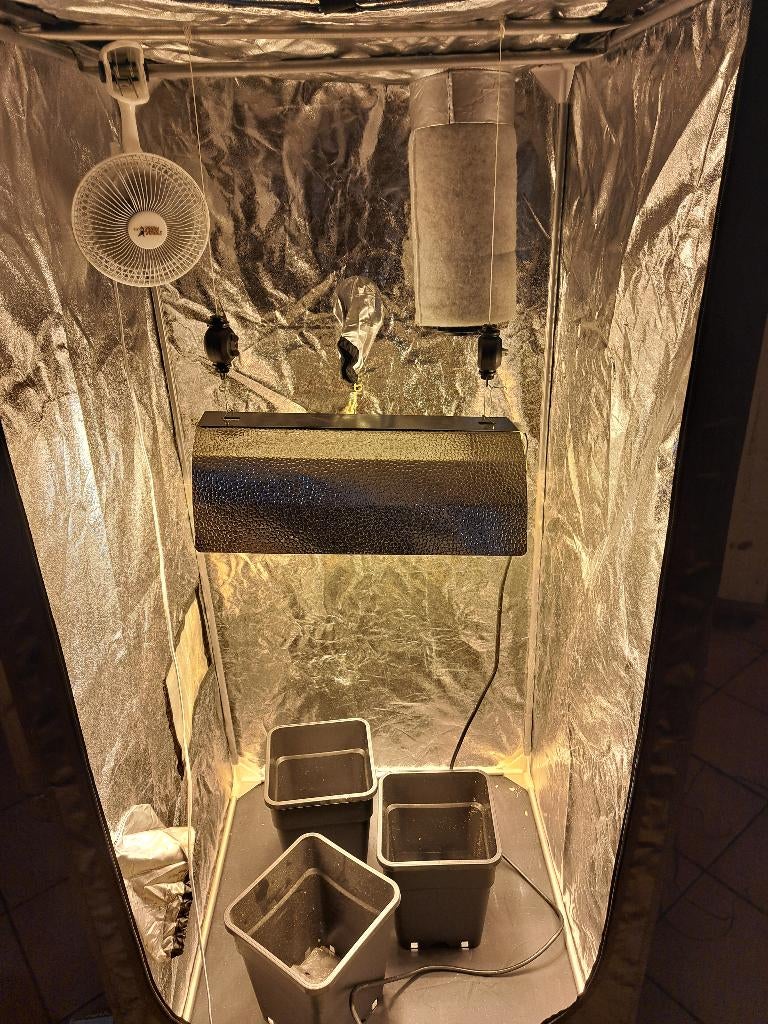 Kit lampe plantation intérieur (herboristerie…), Jardin & Terrasse, Jardin & Terrasse Autre, Utilisé, Enlèvement