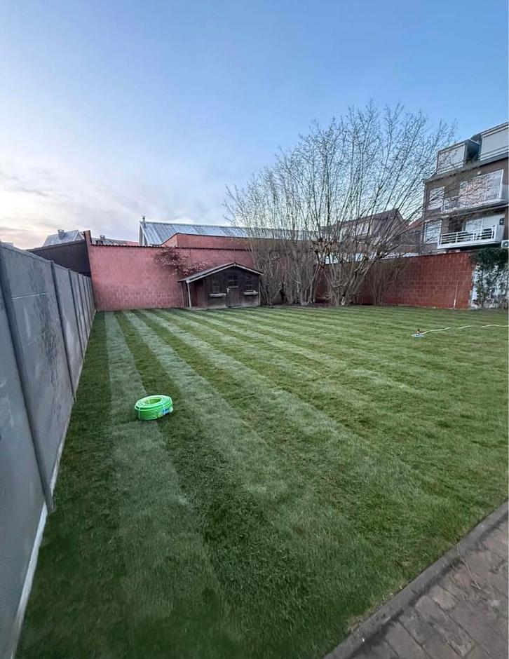 Pose de gazon en rouleau – Pelouse instantanée !, Tuin en Terras, Gras en Kunstgras, Zo goed als nieuw, Ophalen of Verzenden