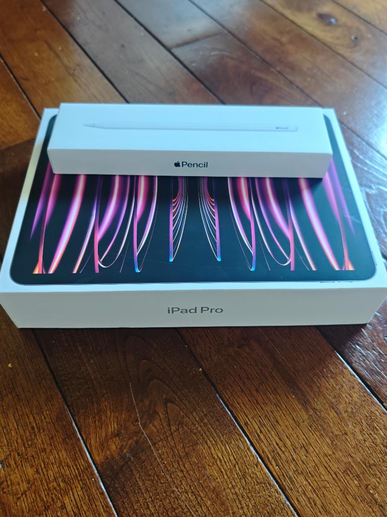 Ipad Pro 11 (4e Gen) 128Go + Apple Pencil 2 + Coque clavier, Gris, 11 pouces, Comme neuf, Enlèvement