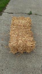 Kleine pakken stro, Dieren en Toebehoren, Ophalen