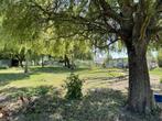 Groot lot (brand)hout, Tuin en Terras, Brandhout, 6 m³ of meer, Ophalen, Stammen