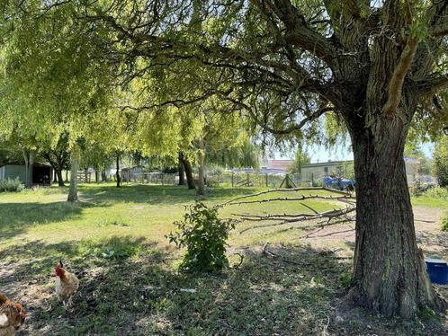 Groot lot (brand)hout, Tuin en Terras, Brandhout, Stammen, 6 m³ of meer, Ophalen