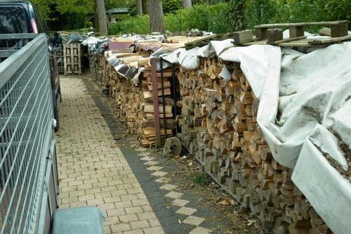 brandhout van fruithout en dennenhout, Jardin & Terrasse, Bois de chauffage, Bûches, Autres essences de bois, 6 m³ ou plus, Enlèvement