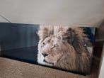 foto leeuw, Ophalen, Zo goed als nieuw