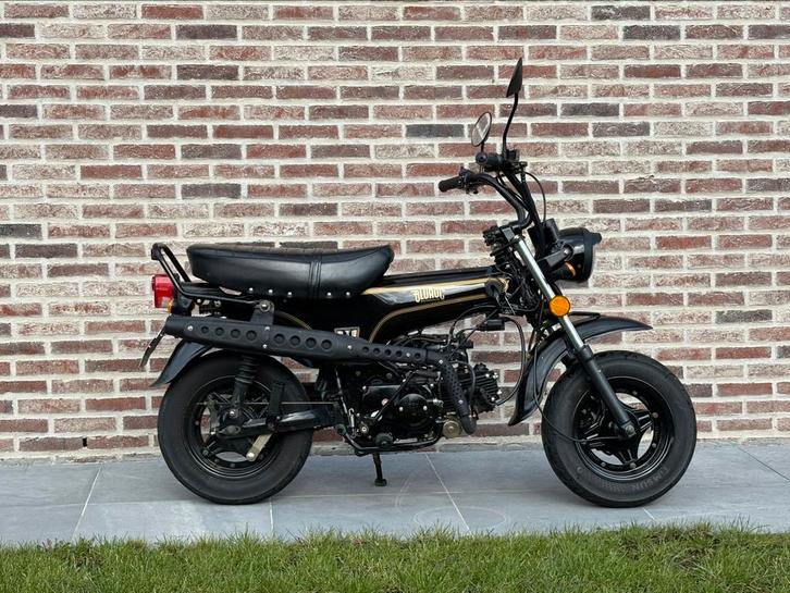 2023 Dax 50cc Bluroc, Fietsen en Brommers, Scooters | Overige merken, Zo goed als nieuw, Klasse B (45 km/u), Benzine, Ophalen