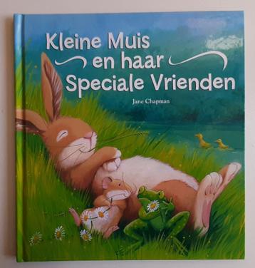 Kleine muis en haar speciale vrienden – Jane Chapman disponible aux enchères