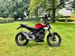 CB300R, Motos, Motos | Ducati, Particulier