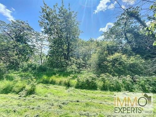 Terrain à vendre à Landenne, Immo, Gronden en Bouwgronden, 500 tot 1000 m²