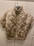 Goudkleurige bodywarmer, Kleding | Dames, Bodywarmers, Ophalen, Nieuw