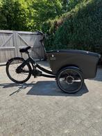 Bakfiets triobike boxter, Fietsen en Brommers, Fietsen | Bakfietsen, Overige merken, 4 kinderen of meer, Elektrisch, Ophalen of Verzenden