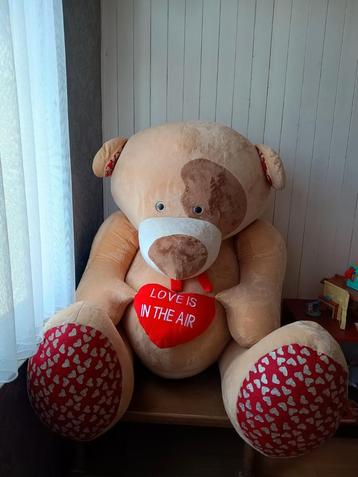 Knuffelbeer XL (110cm) beschikbaar voor biedingen